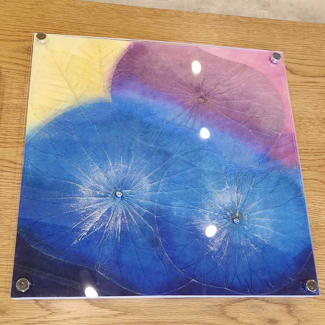 /20230826_154157.jpg